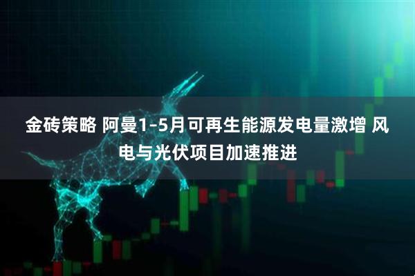 金砖策略 阿曼1–5月可再生能源发电量激增 风电与光伏项目加速推进